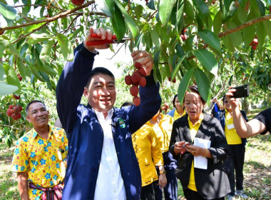 อธิบดีกรมส่งเสริมสหกรณ์ ลงพื้นที่เยี่ยมชมแปลงลิ้นจี่ ... พารามิเตอร์รูปภาพ 26